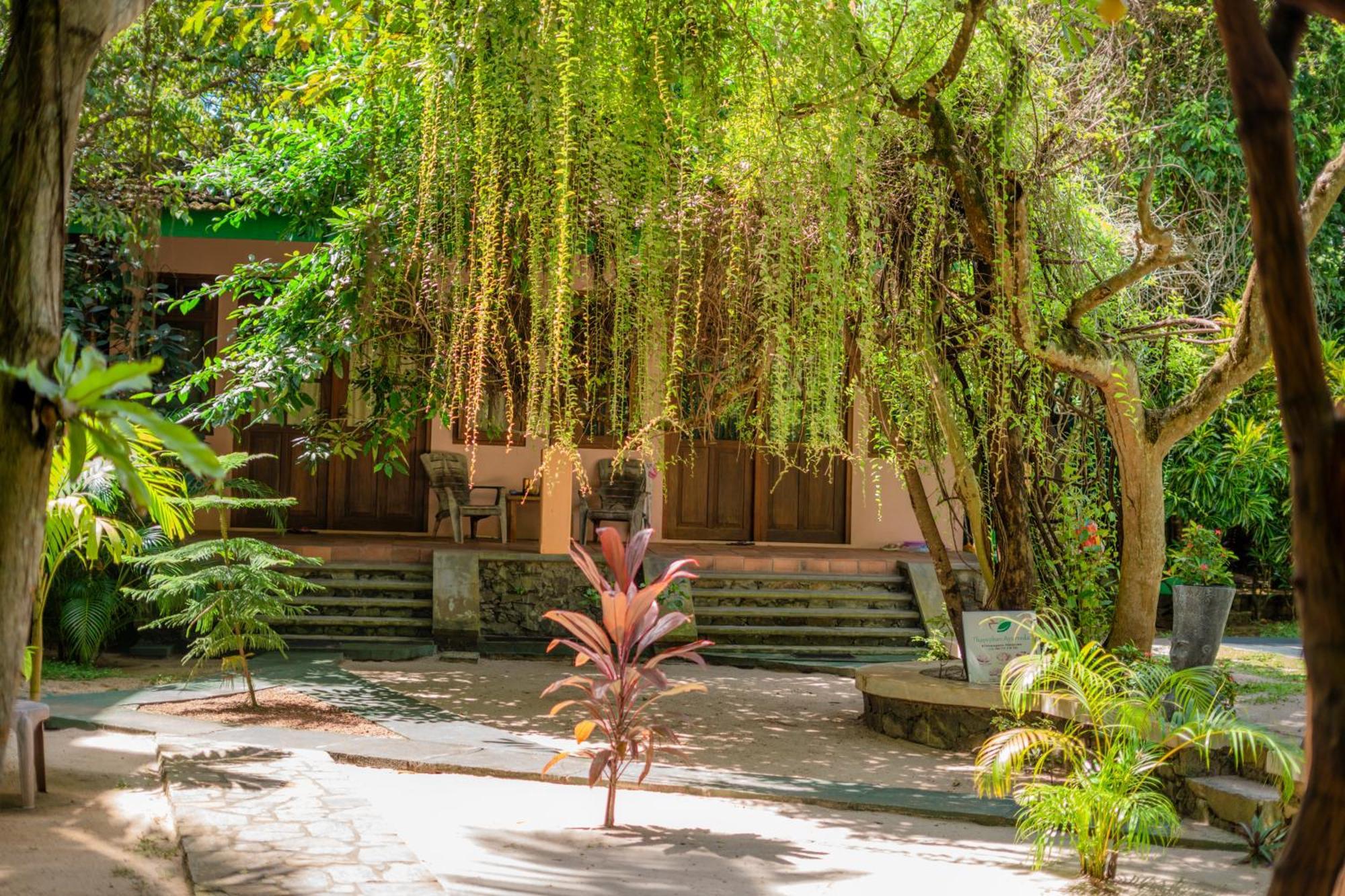 Monkey Villa Hikkaduwa Luaran gambar